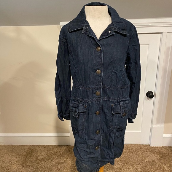 chico's denim dresses